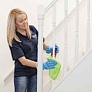 domestic cleaning services